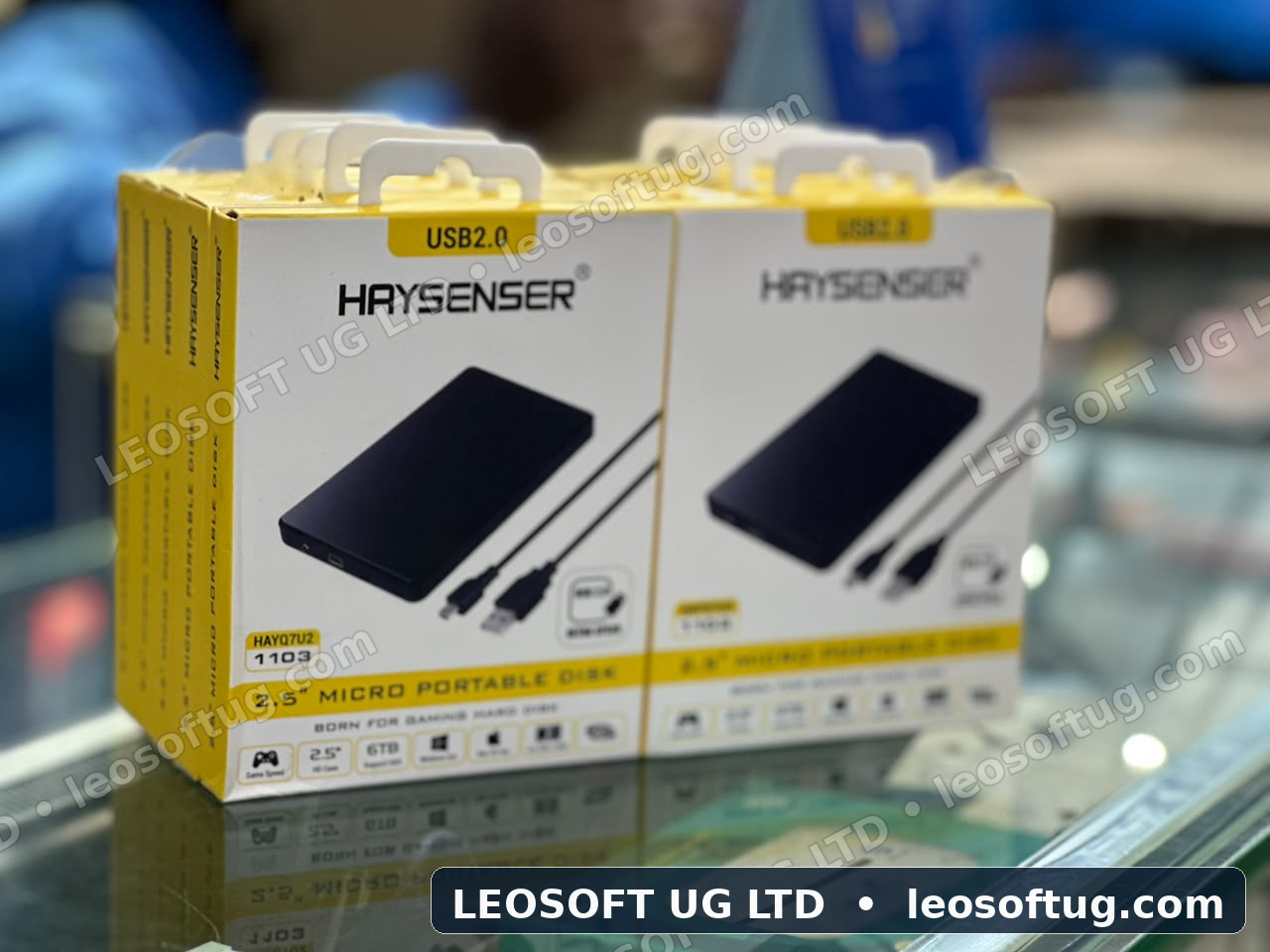Haysenser 2.5" Micro Portable Hard Disk Case